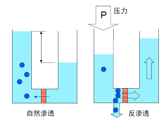 圖片2.jpg